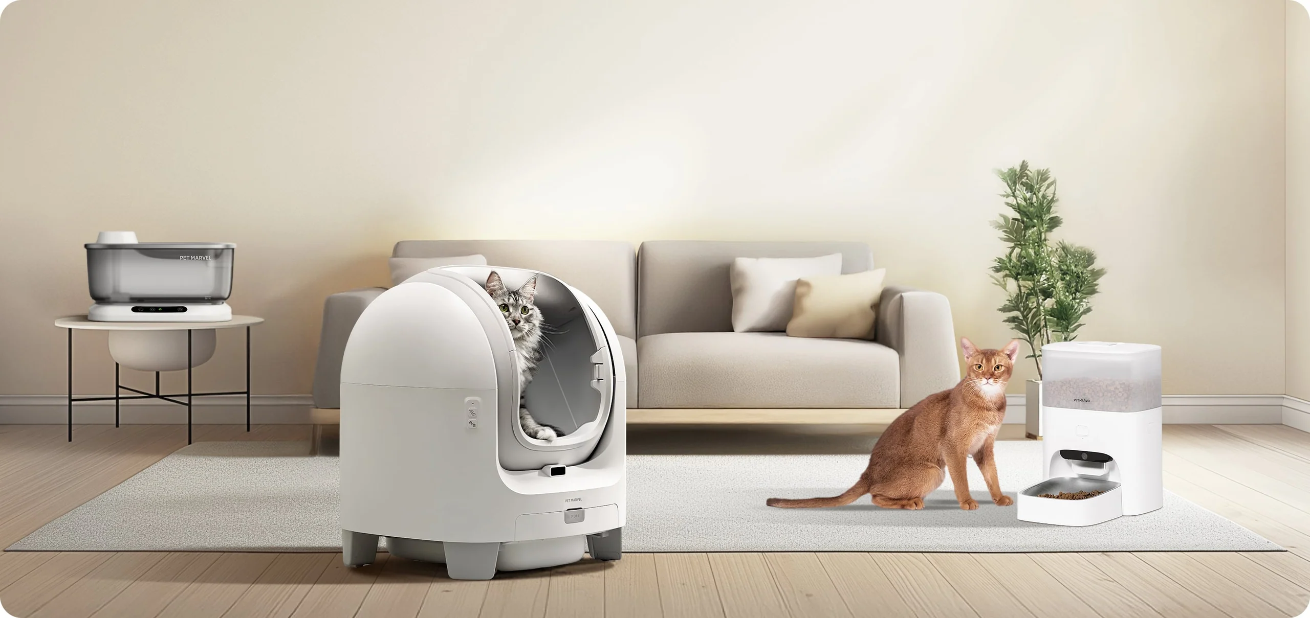 Welcome to Our Store